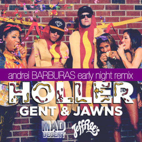 andreibarburas-holler